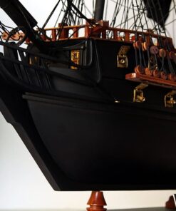 The Black Pearl Ship